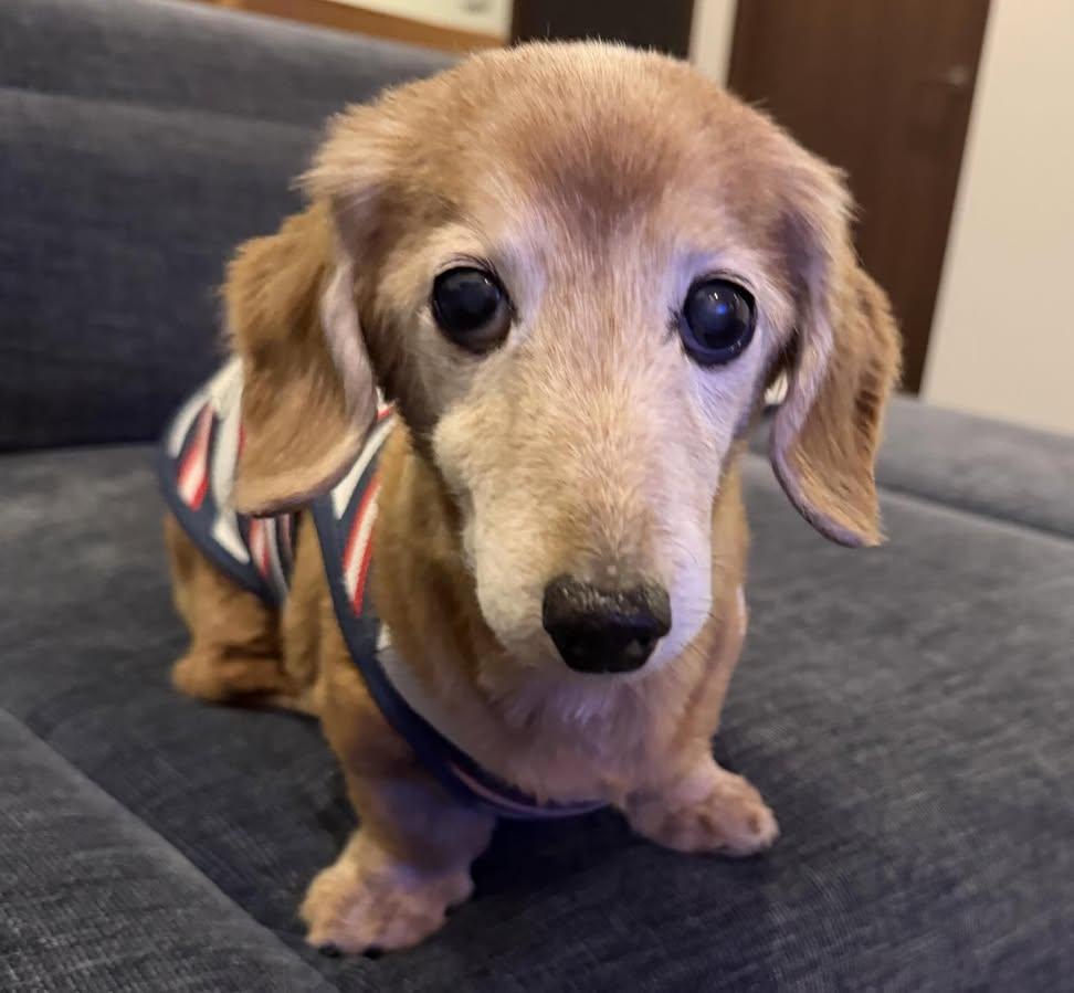 Sara Mary ⭐❤️ tweet media