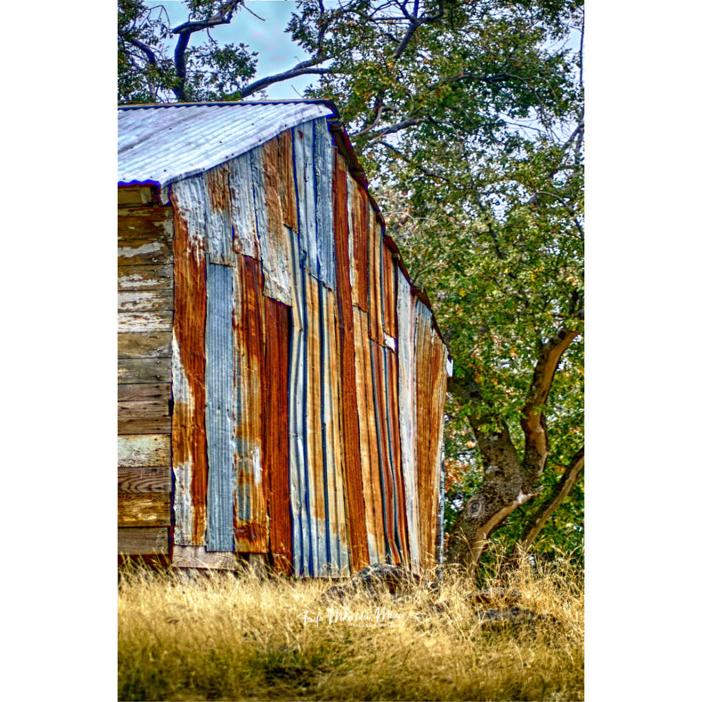 Toula Grayce Mavridou-Author & Photographer-No DMs tweet media