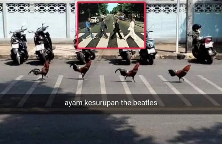 epic comments indonesia tweet media