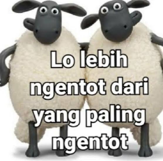 O O double O ⚡ tweet media