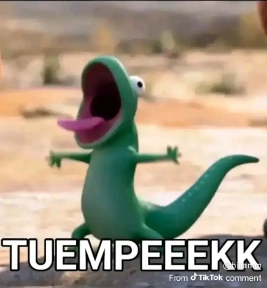 タリズマン tweet media