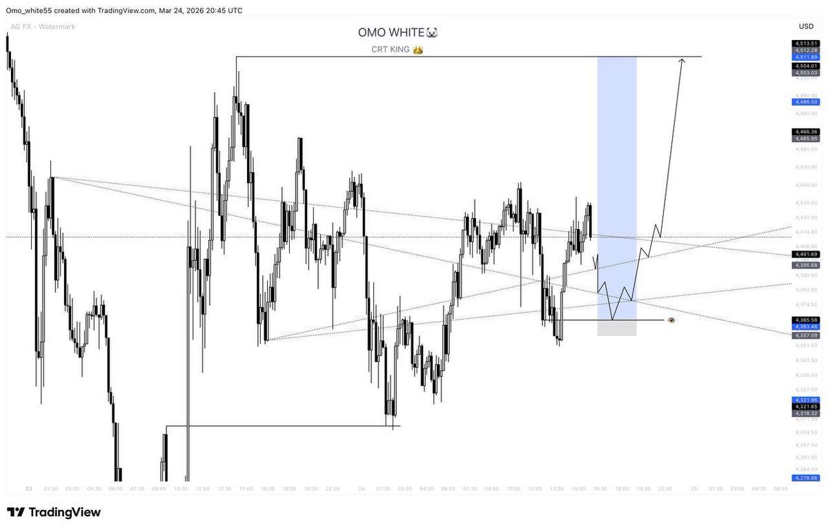 OMO WHITE 🐻‍❄️ tweet media