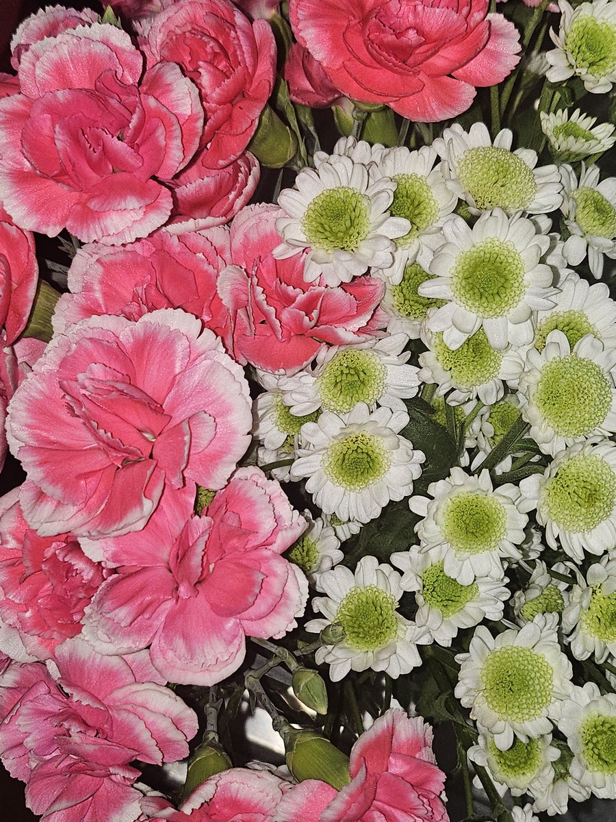 essential tweet media