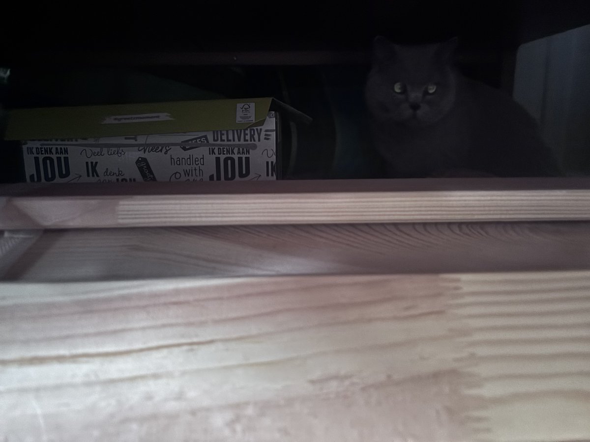 👑Colossus (Woods🌈) tweet media