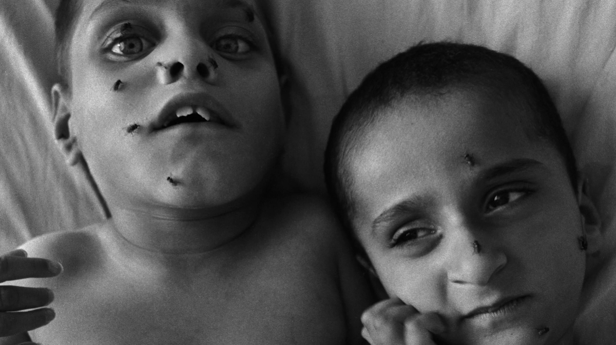 🔻أرشيف لبنان Lebanon Archives tweet media