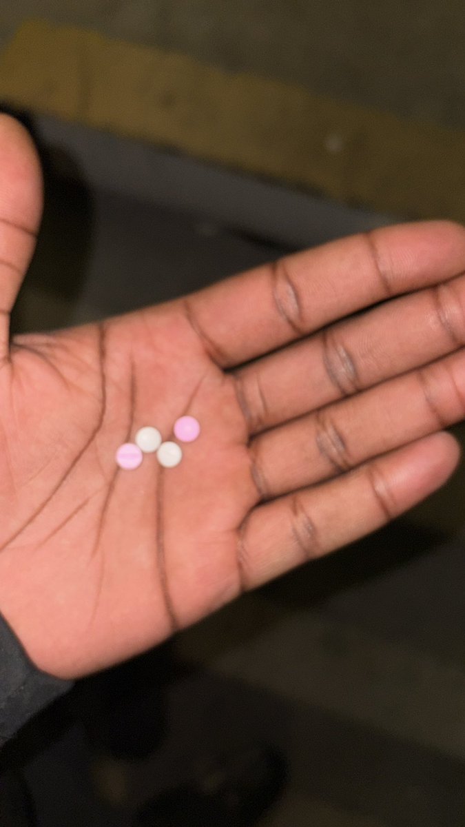 BlowMoney /🕷️ tweet media