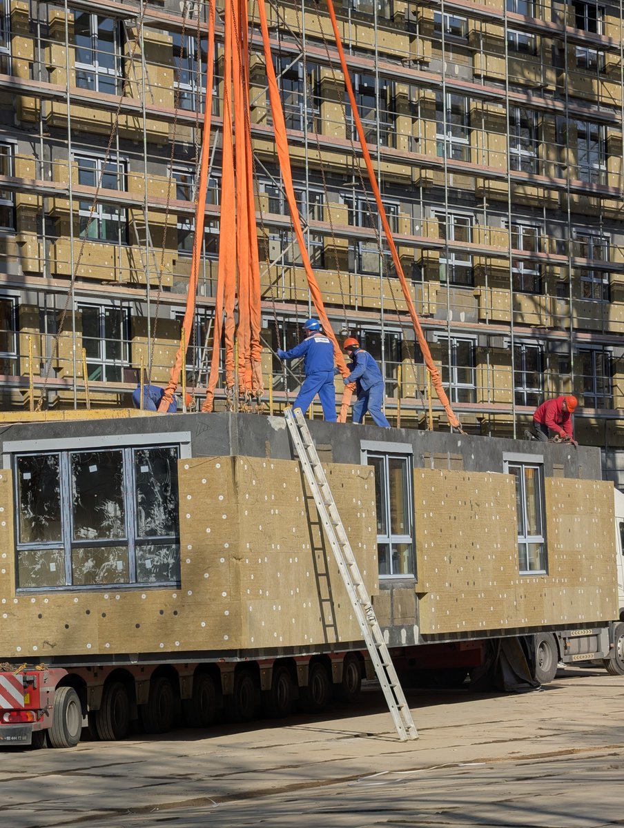 Саша Дериванов tweet media