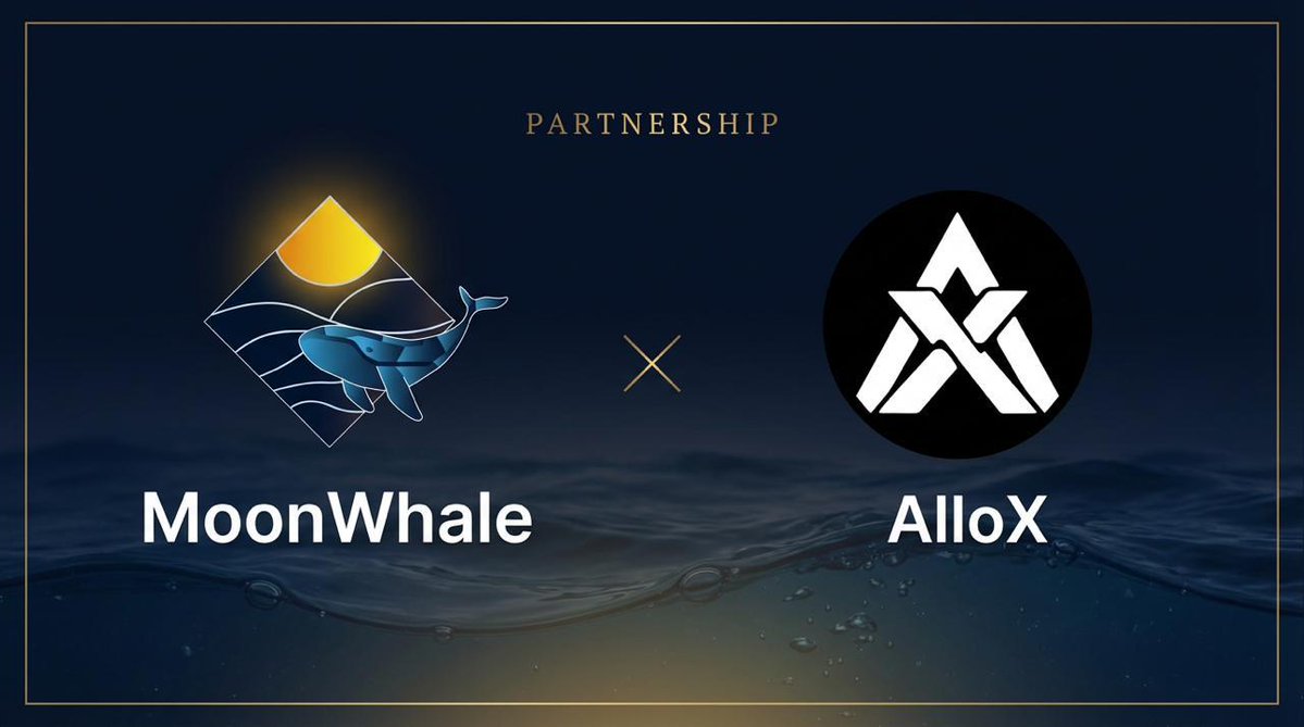 MoonWhale tweet media