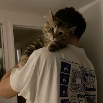 شيخه العنزي tweet media