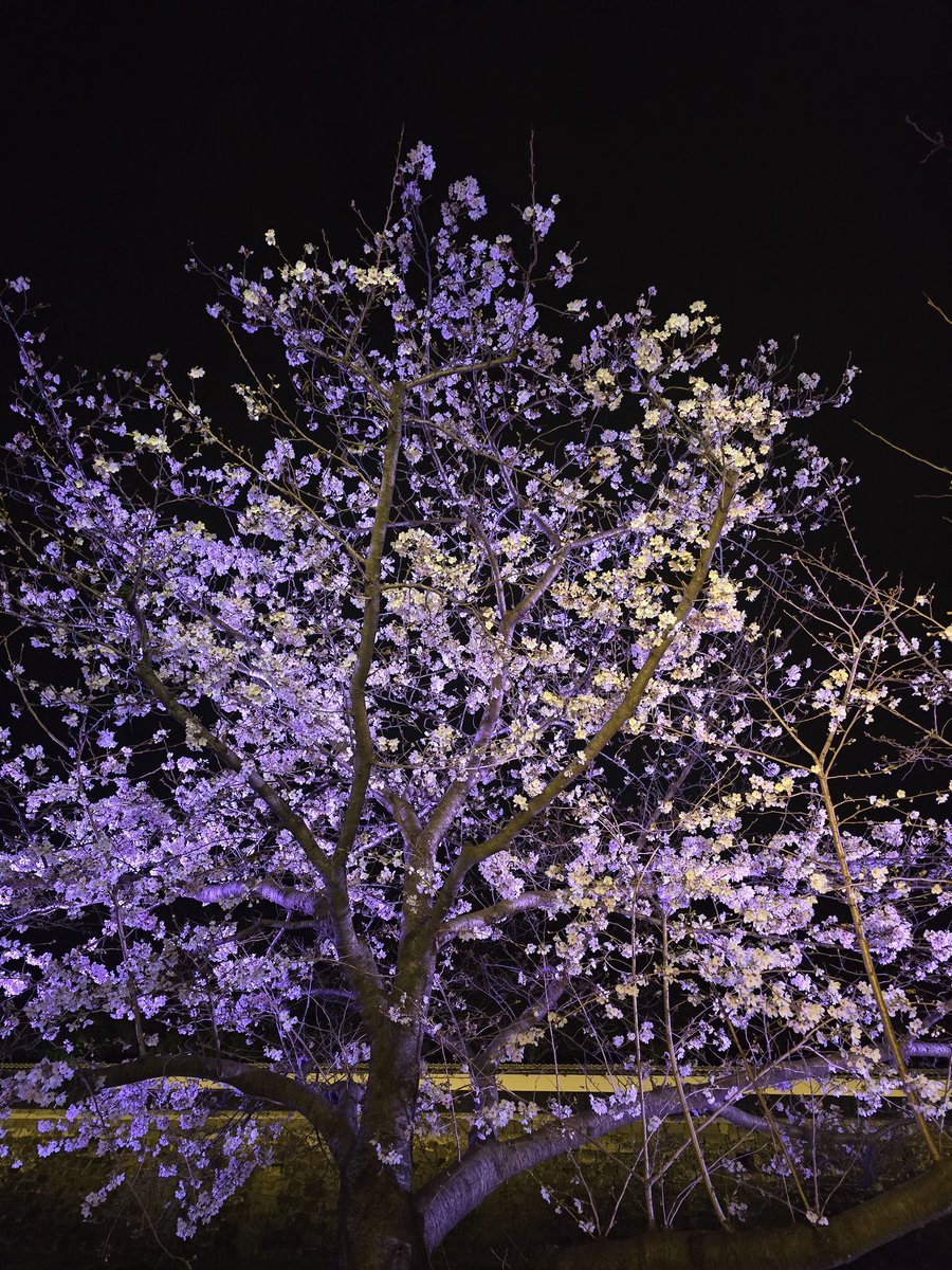 ColonyDrop tweet media