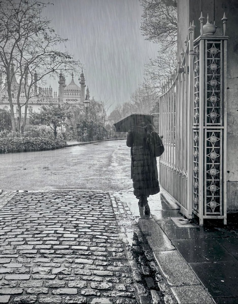 Dazzling Doubter tweet media