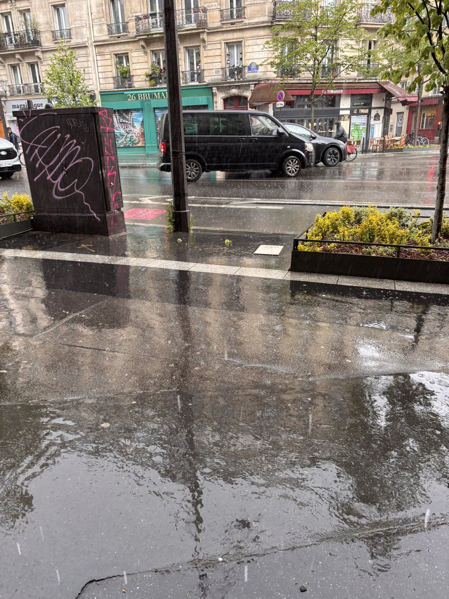 Unite-RoyaleV 🌿 ⚜️⚜️⚜️✞ tweet media