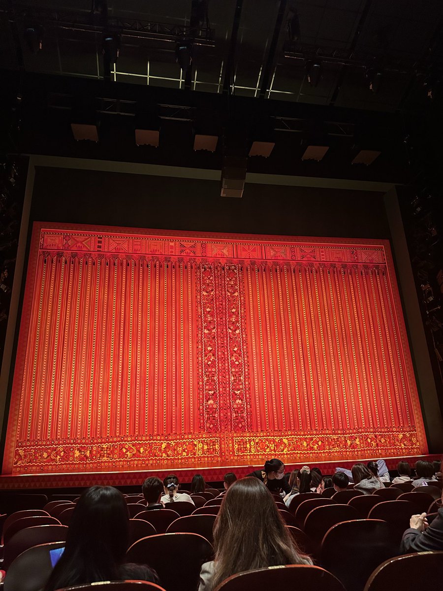 ダイアナ・マンチカン tweet media