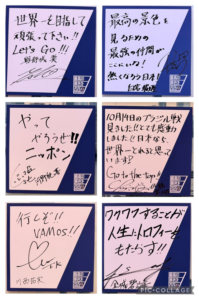 🩵🌞 晴 空 🌱🩵 tweet media