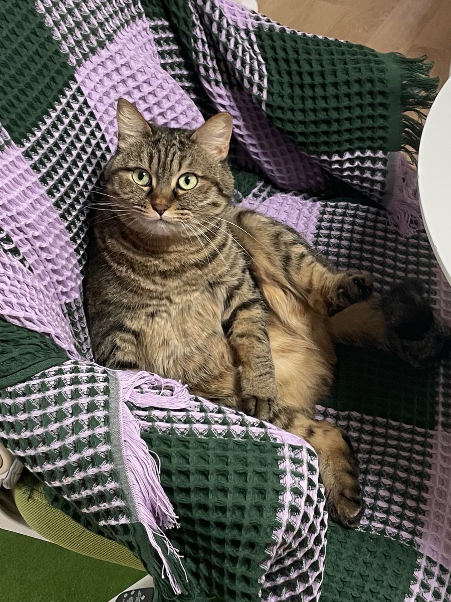 동그란 김방울🫧 tweet media