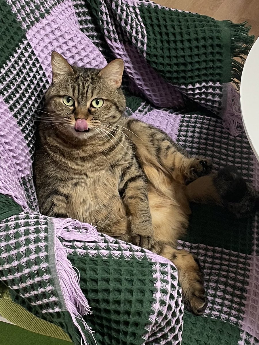 동그란 김방울🫧 tweet media