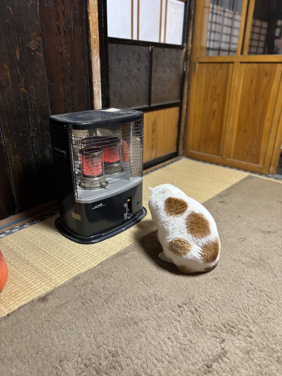 いのうえもんぺ tweet media