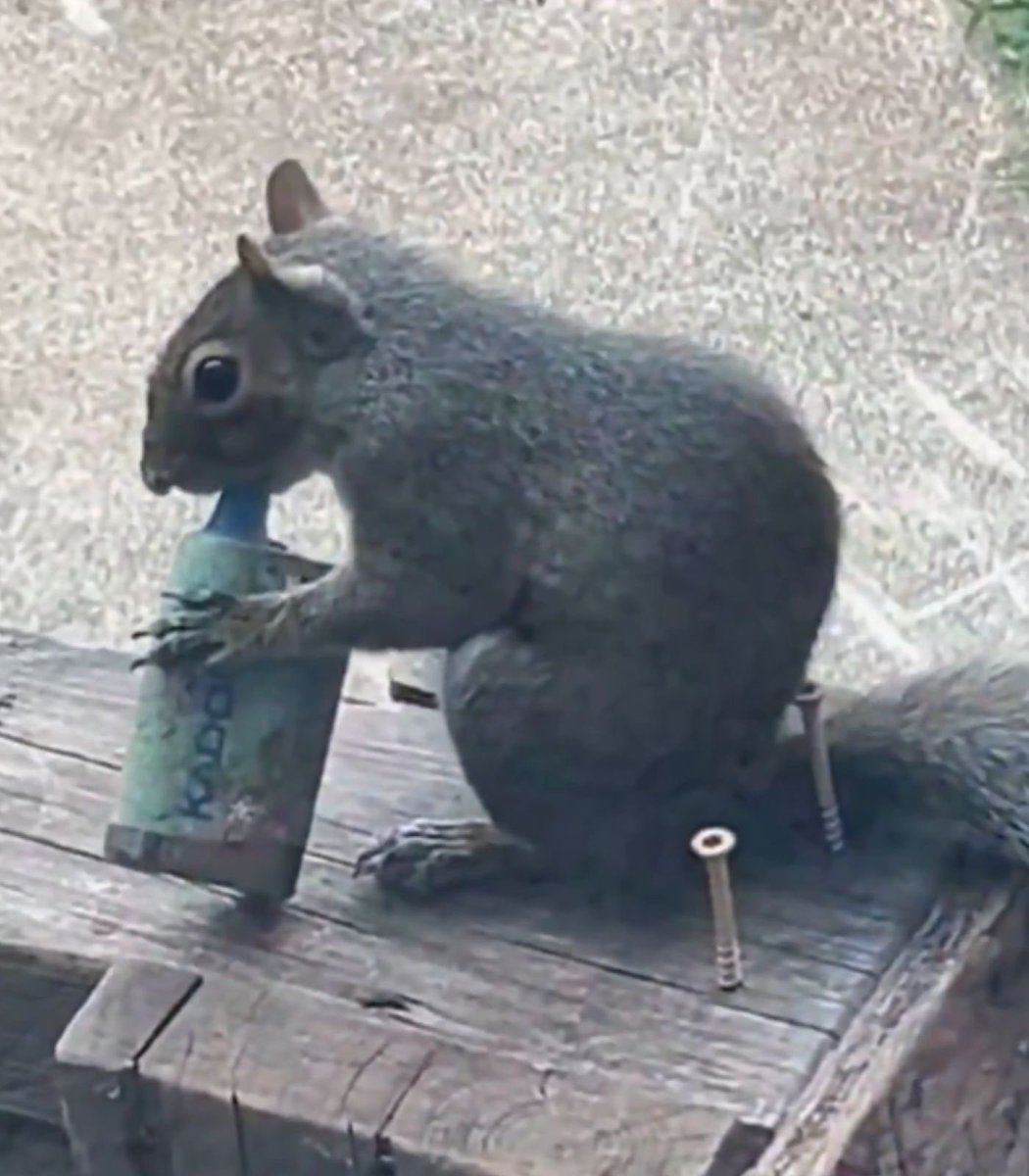 Popileaks tweet media