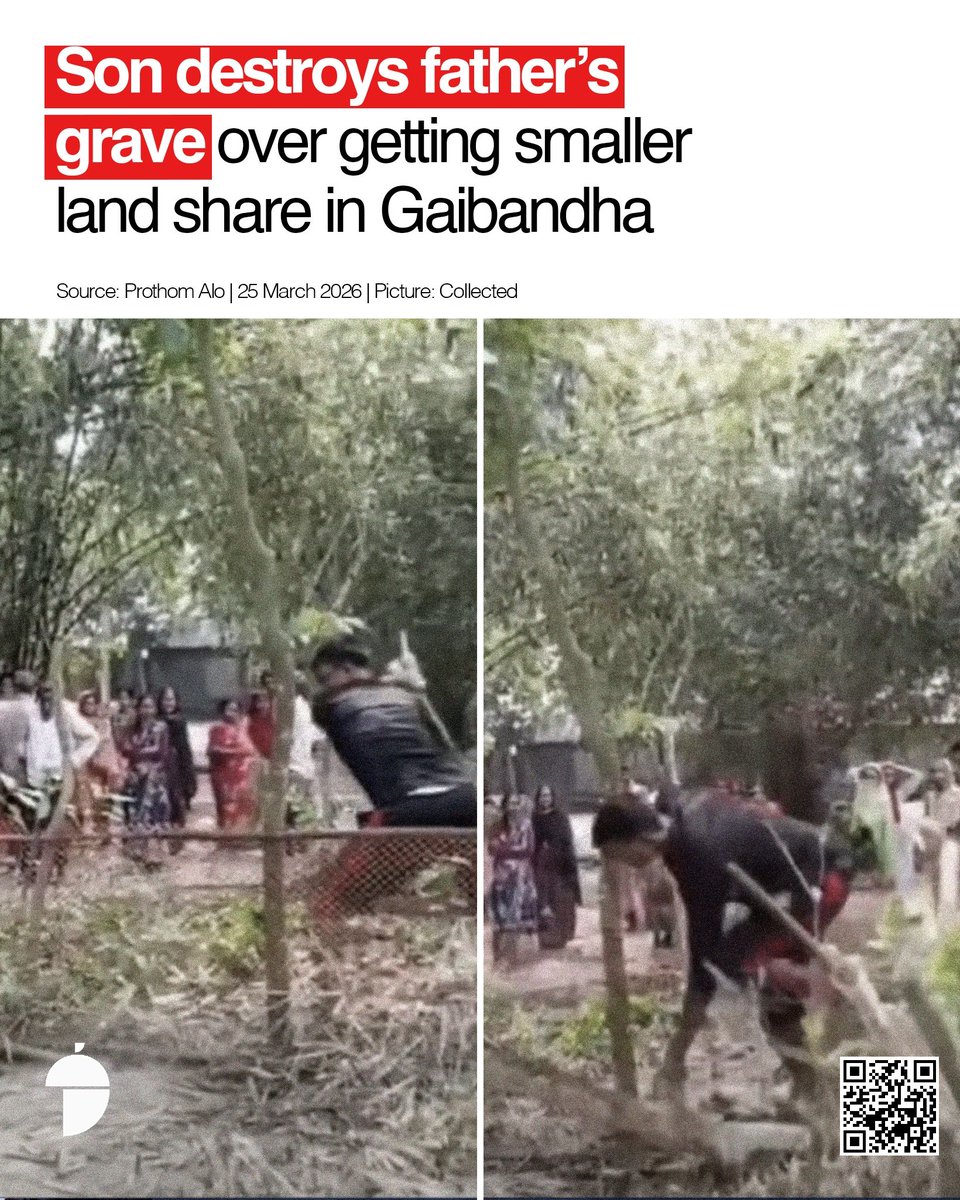 Nutshell Today tweet media