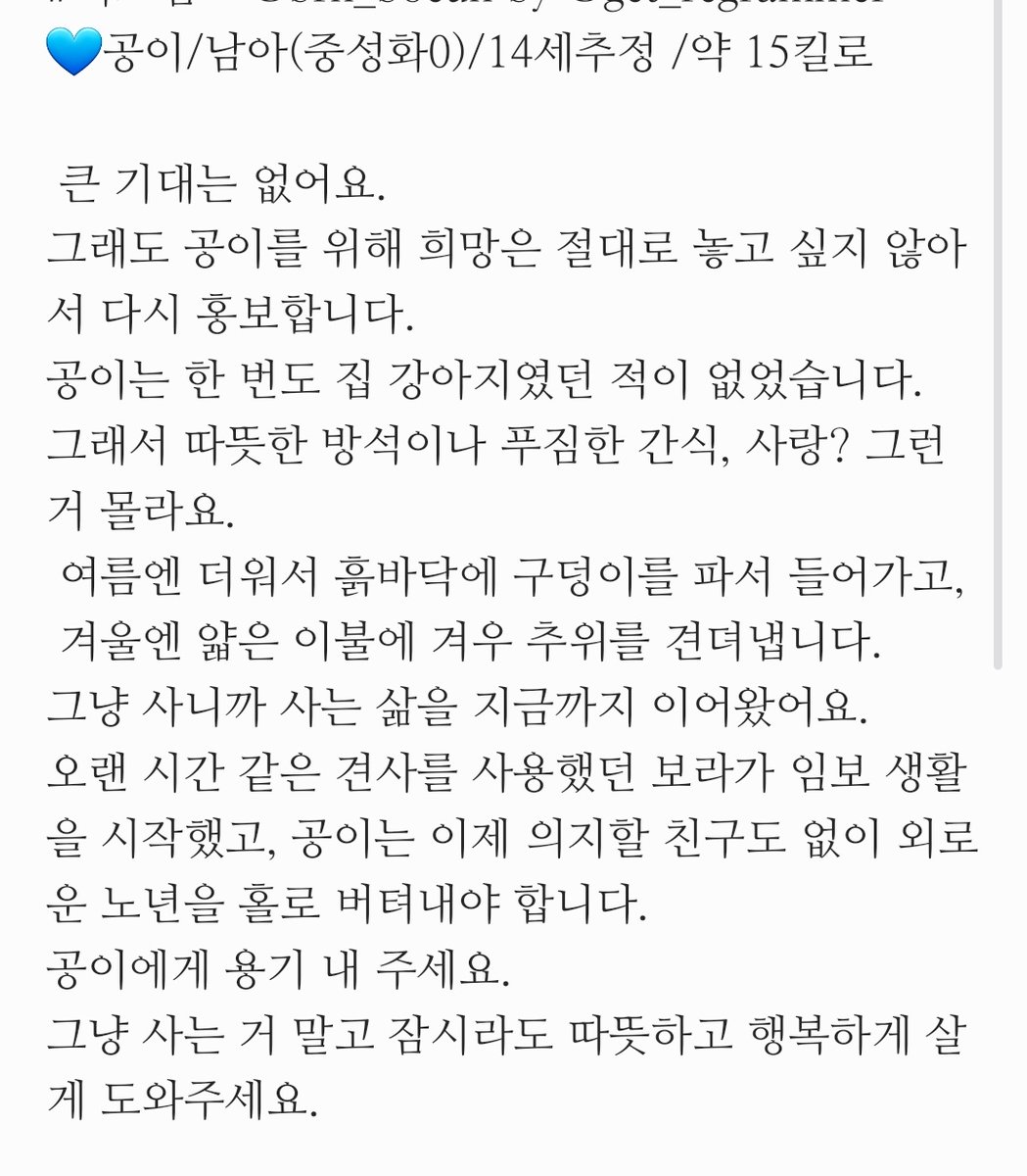 🐶가족찾는중🐶 행복한 웅이 tweet media