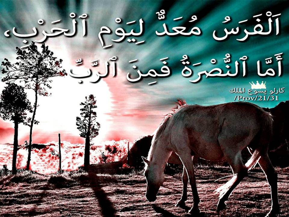 زكريا استاورو  Zakaria Estawro tweet media