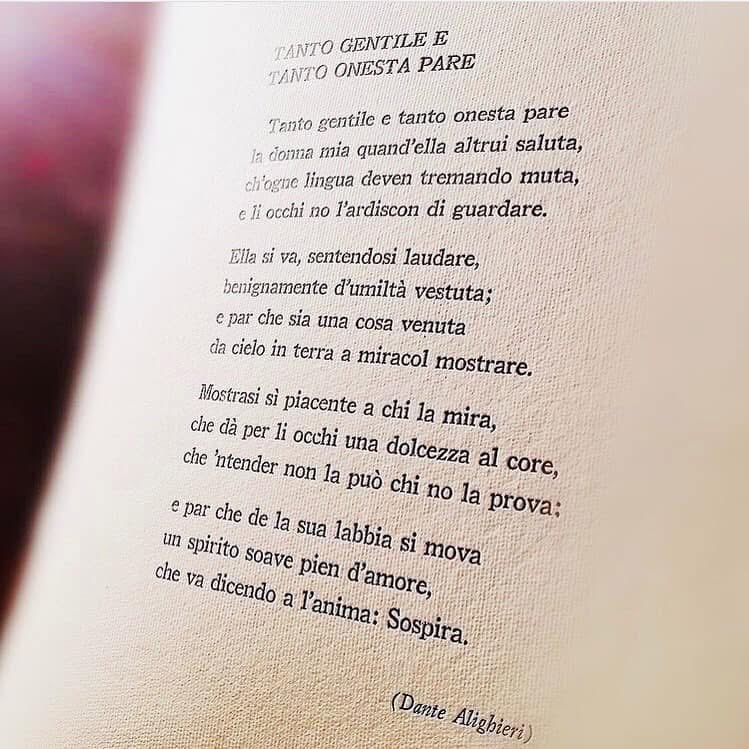 dottoressafede's tweet photo. Sempre la mia preferita 💕

#dantedi 
#25marzo https://t.co/BSU7dozfSR