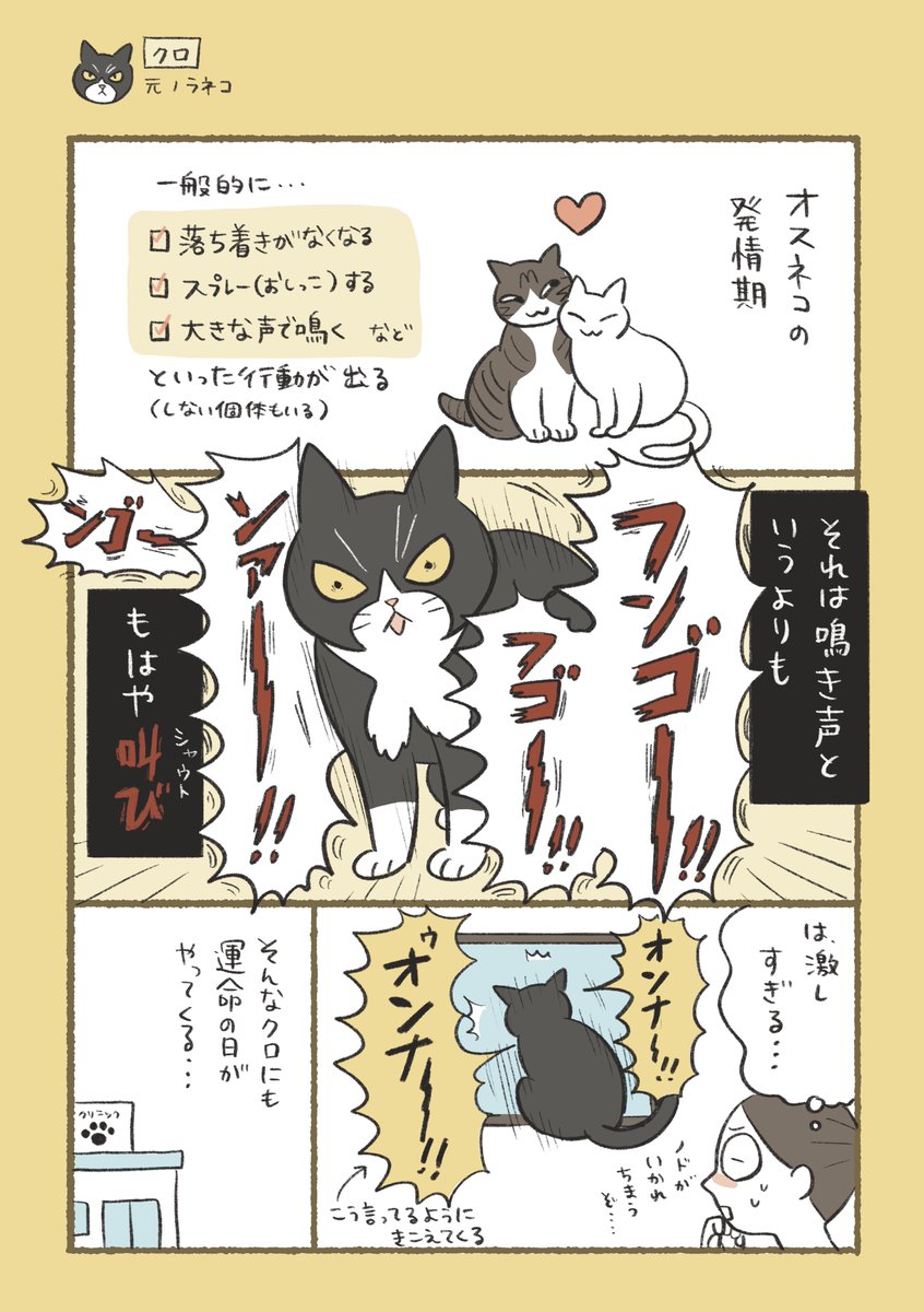 ふじもりはる🎄バナクロチャ tweet media