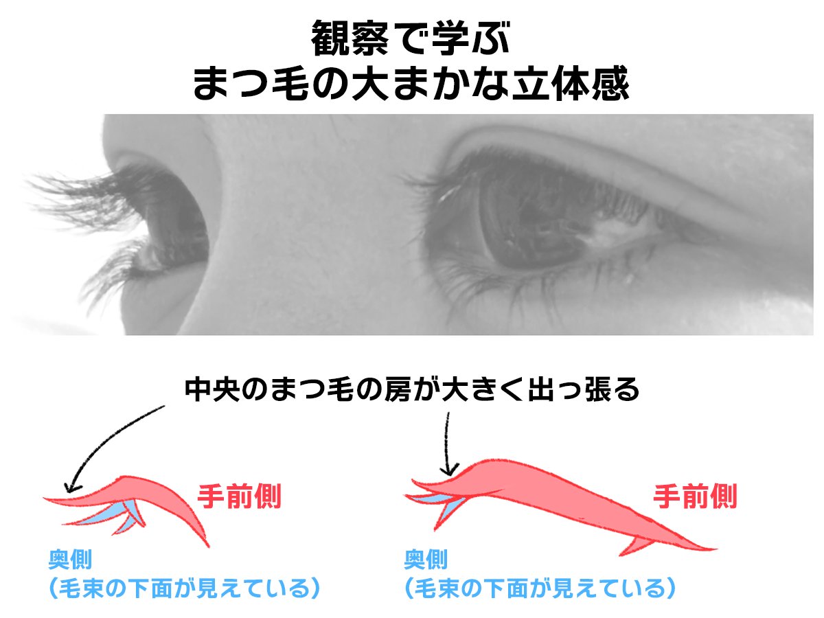 お絵かき講座パルミー tweet media