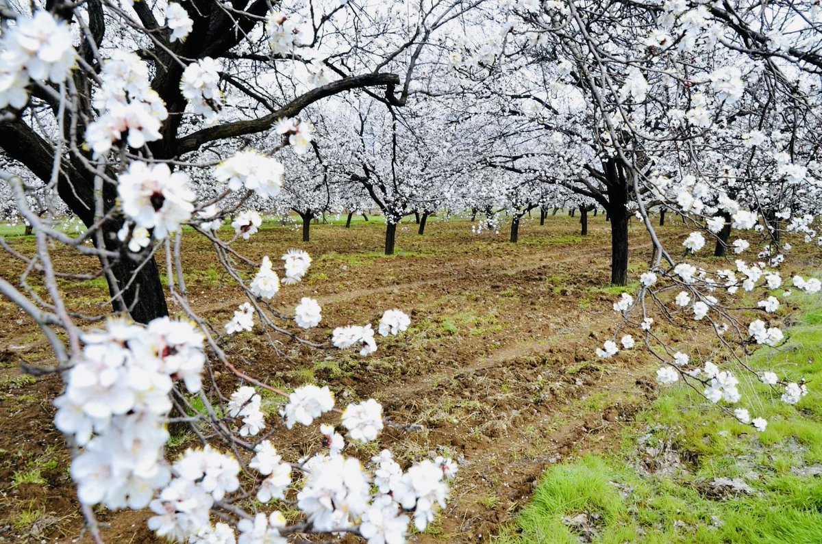 Seblâ 💎 tweet media