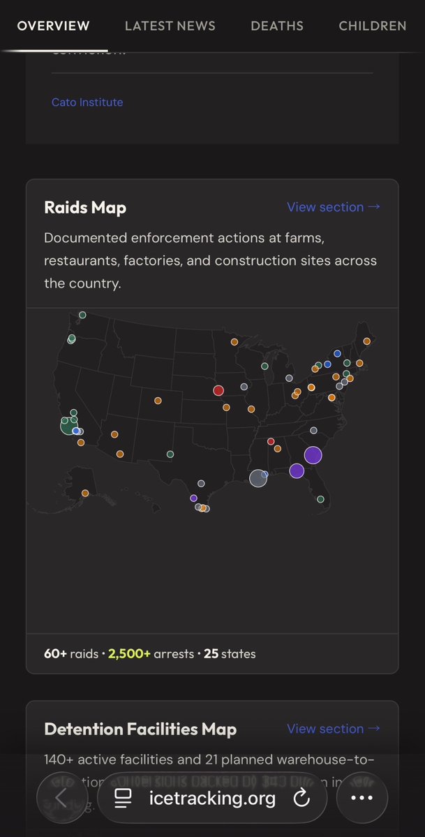 Kylie Chi 季 🇵🇸🏳️‍🌈 tweet media
