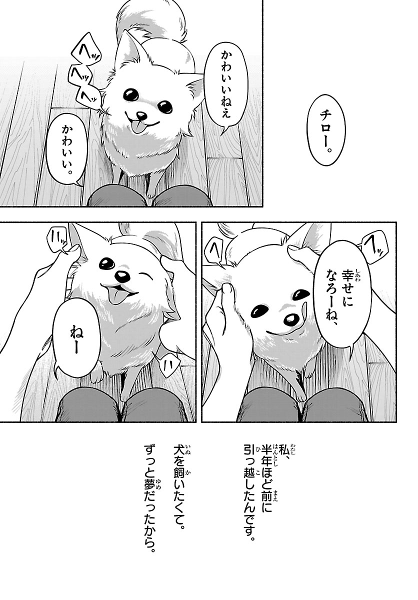 「ましろくん」公式 tweet media