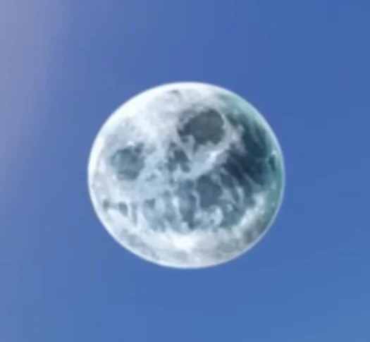 Solidus Begghy tweet media