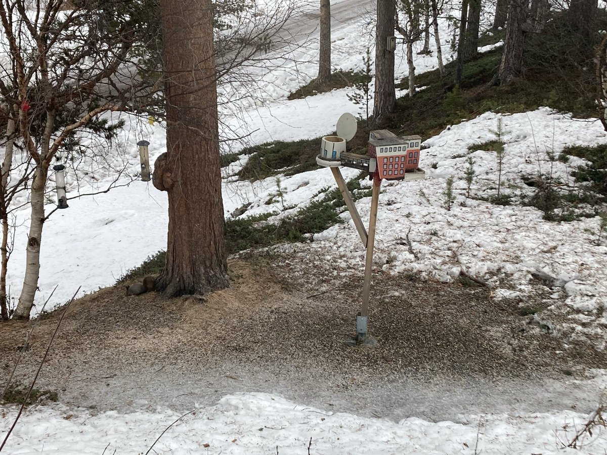 Futatataton tweet media