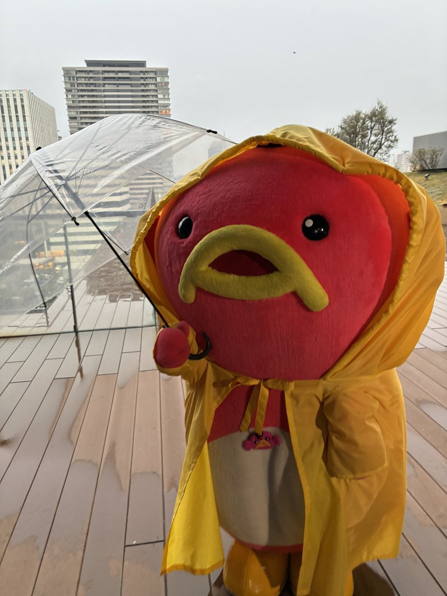 エビシー【公式】 tweet media