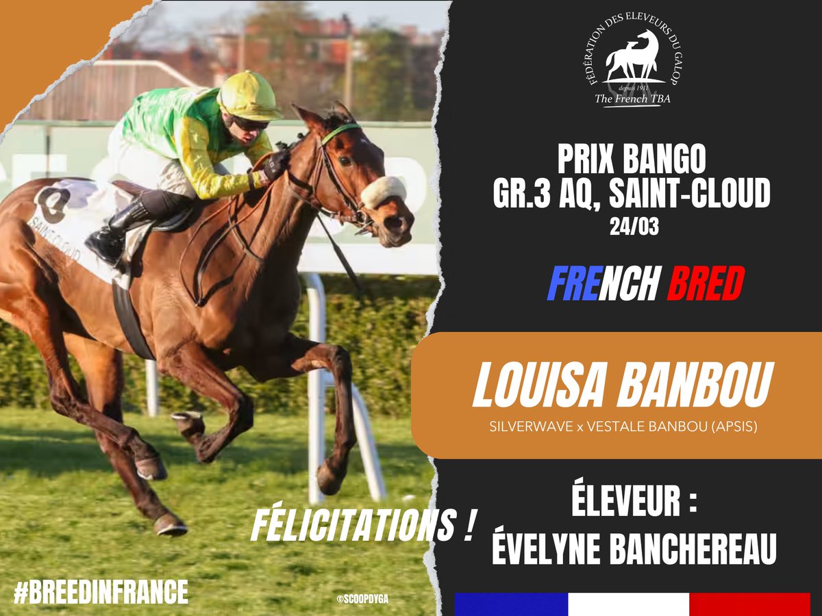 Eleveurs du galop tweet media