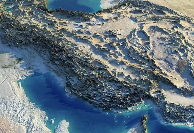 Corvus Frugilegus tweet media