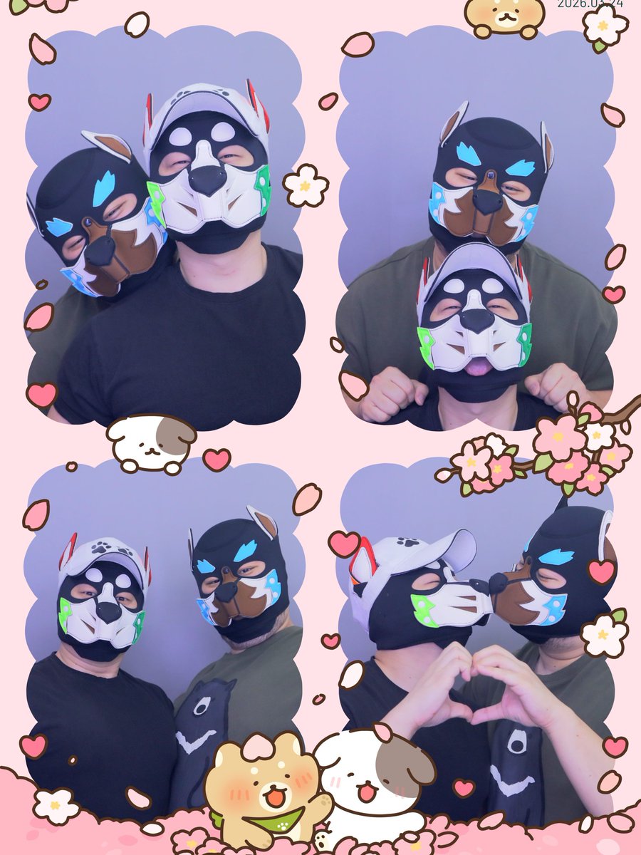 바롱 🐶 tweet media