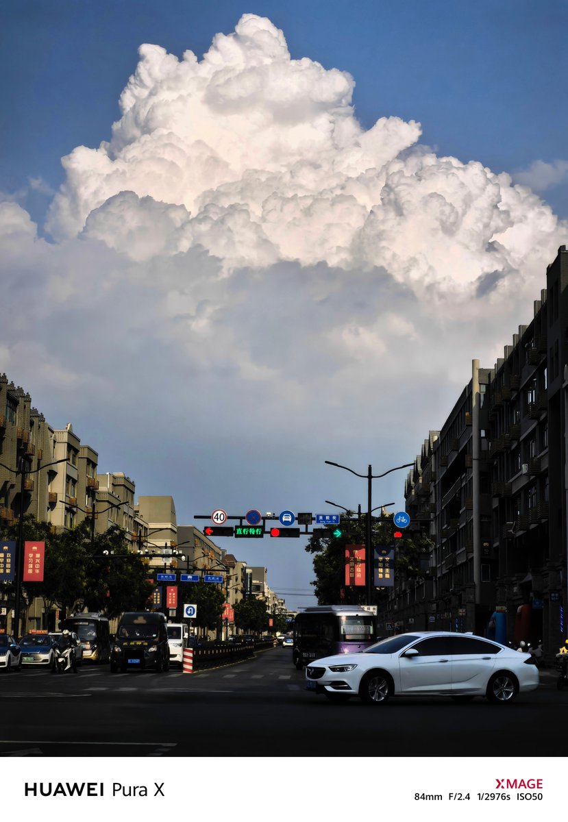 Bobos interiors tweet media