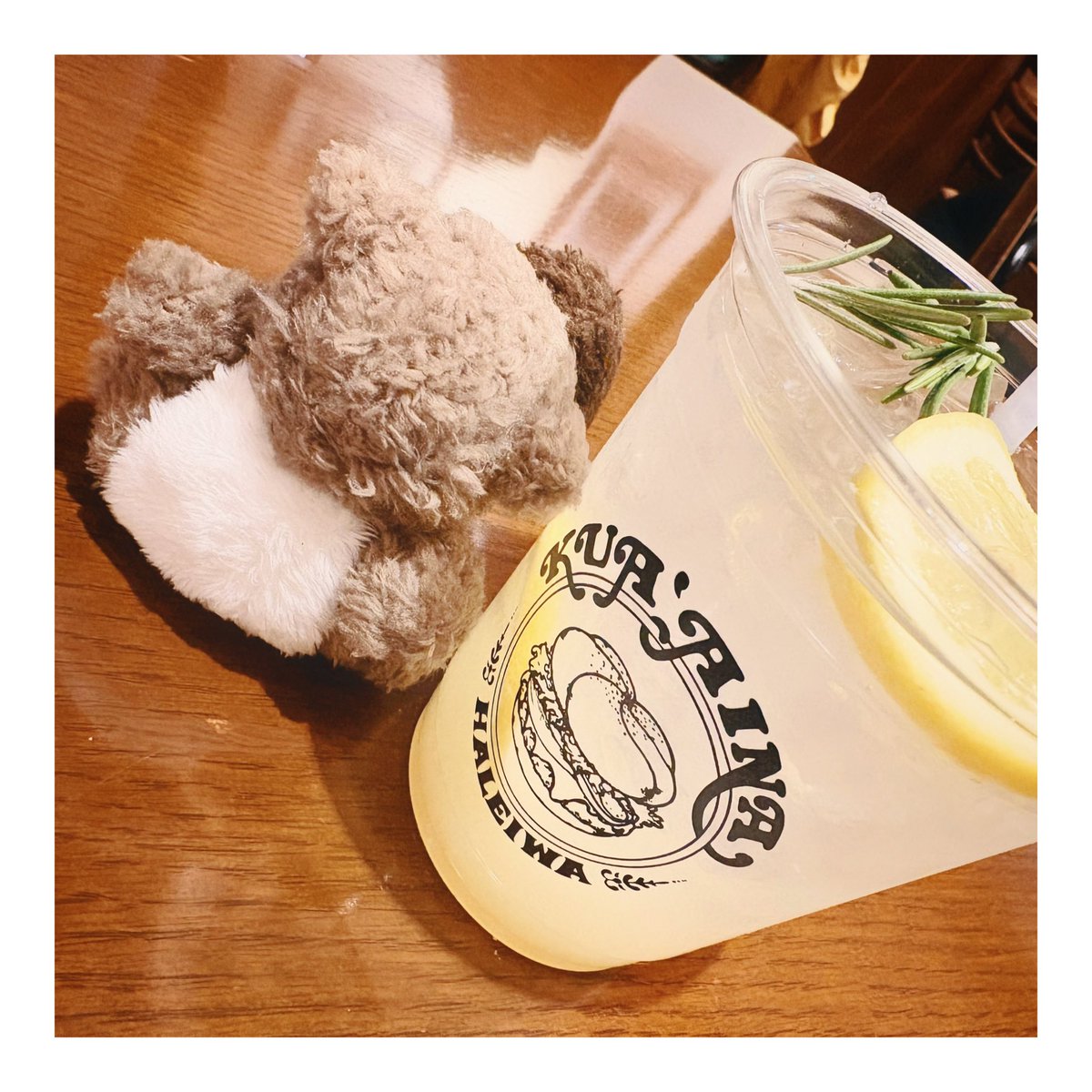 わたしのりすちゃんもかわいい　よくいっしょにおでかけしてます