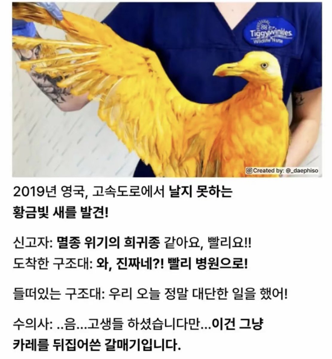 돌아온지지 tweet media