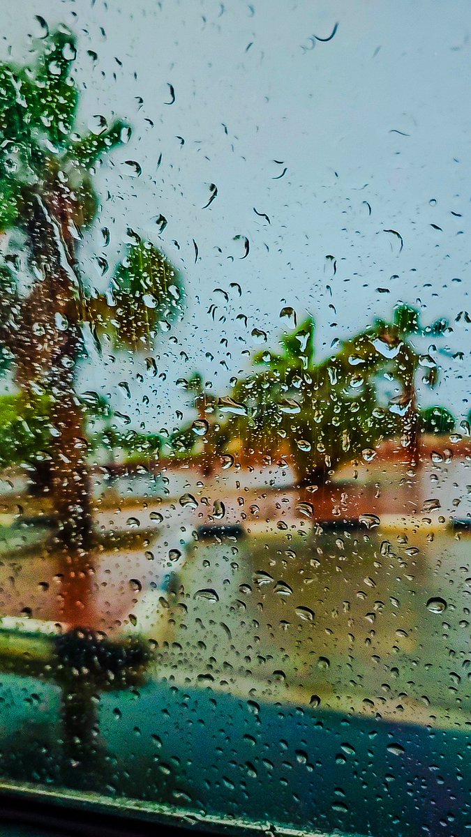 ​🅽🅾🅾🆁🅸🅵🅸🅲 tweet media