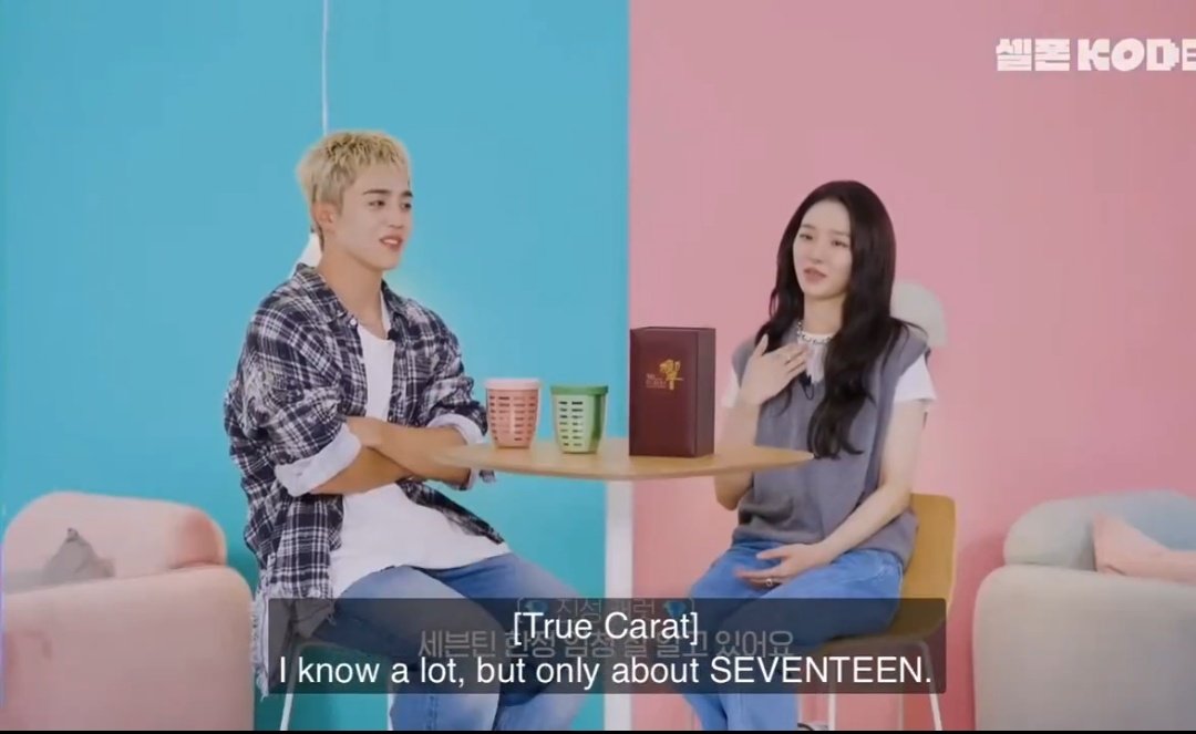 🍓🍒🐈⬛ tweet media