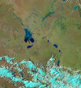 AvScanNZ 🇳🇿 tweet media