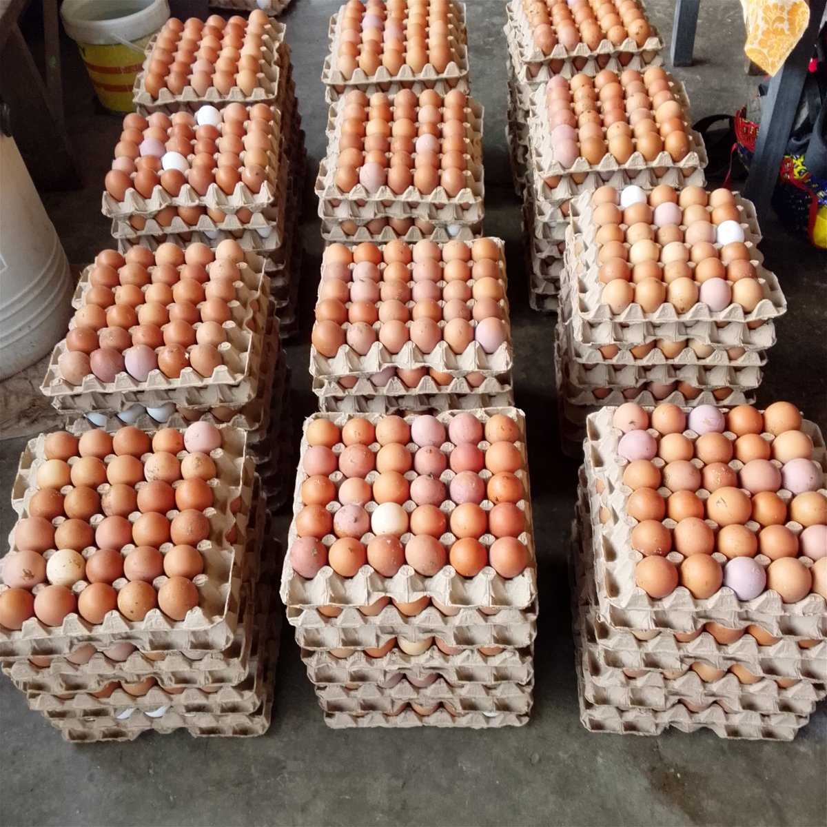 Farm and Eat tweet media