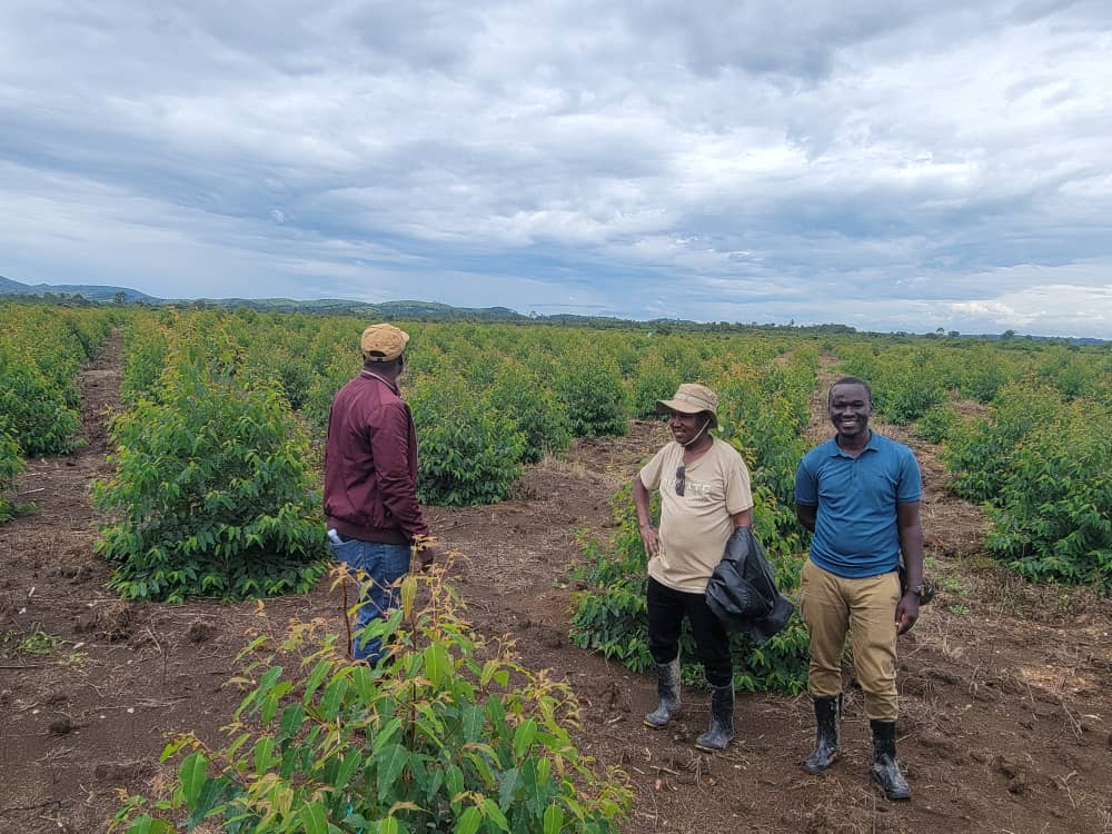 Trinity Forestry Services tweet media