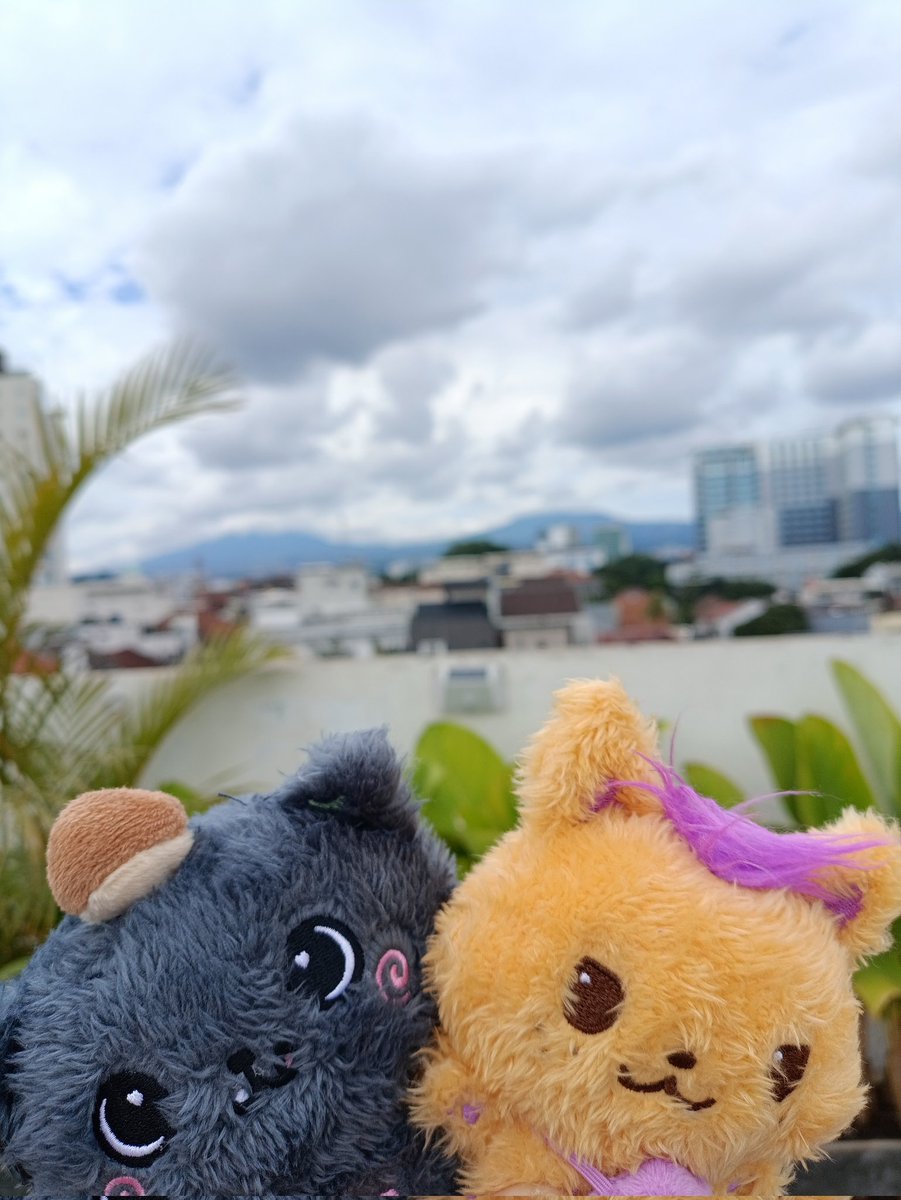 윈 𝒪𝒹𝑒 𝓉𝑜 𝐿𝑜𝓋𝑒 🩵໒꒱ tweet media