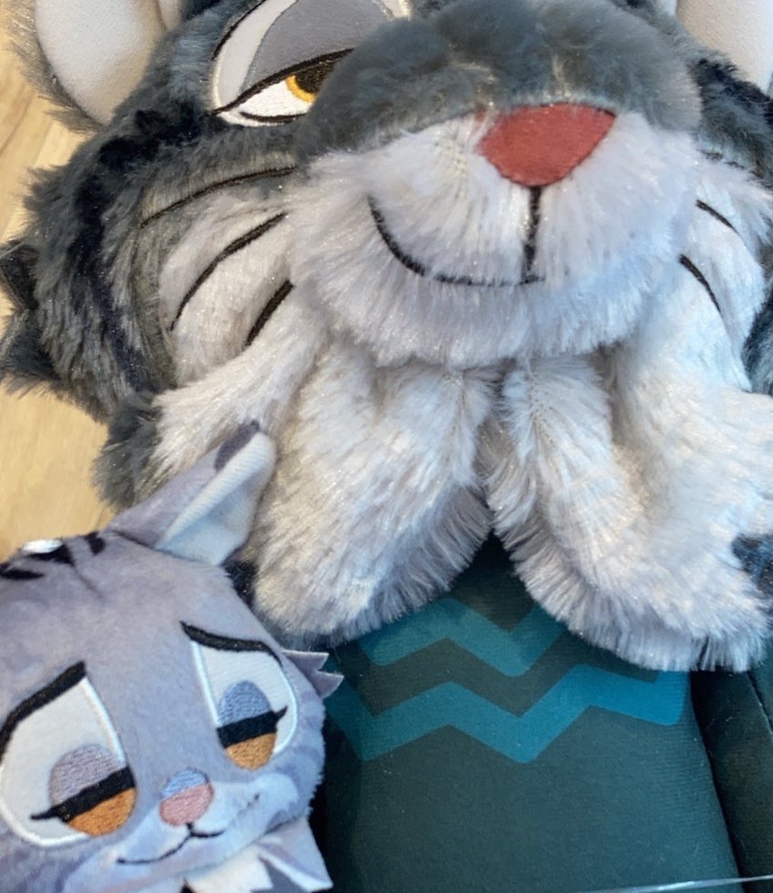pglov11's tweet photo. げっちゅ😸😸 https://t.co/UwQS8BK6Ky
