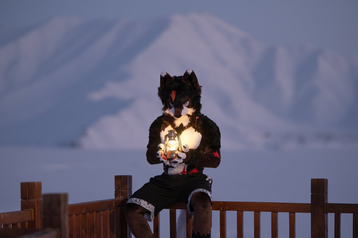 Spring泉 tweet media