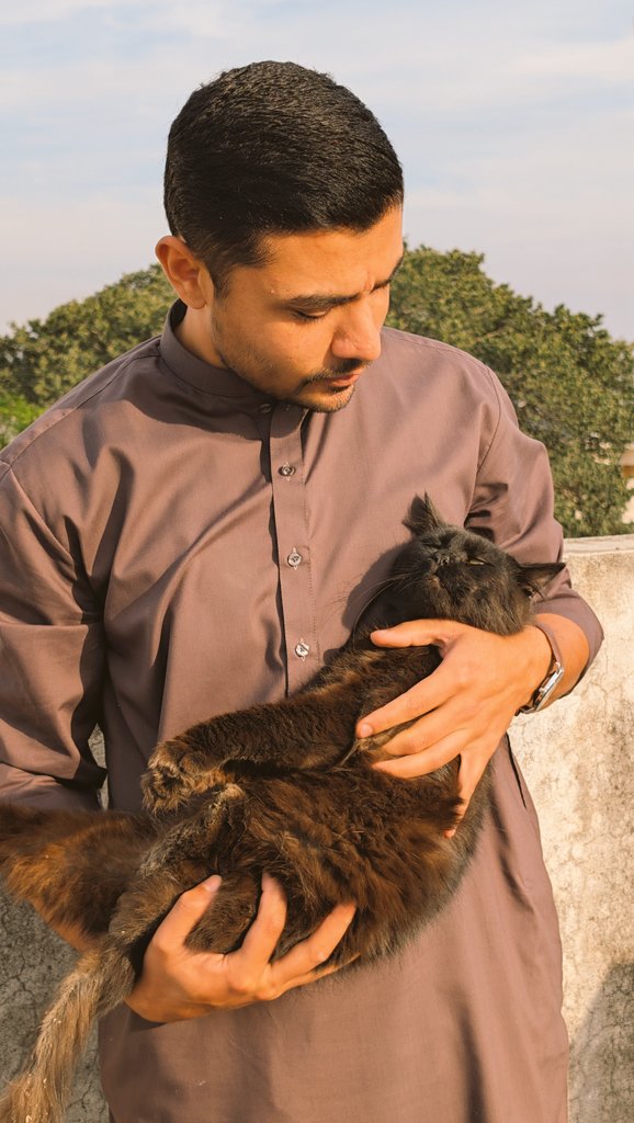 UMAIR tweet media