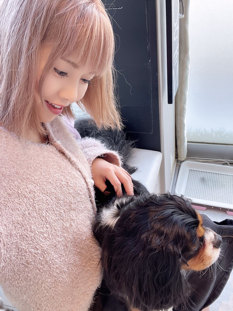 小泉千秋 tweet media